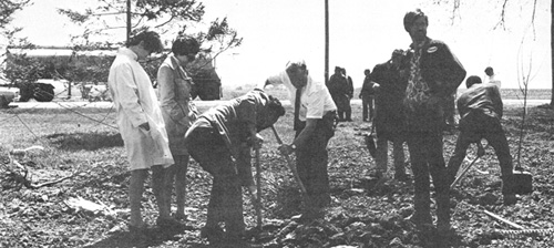 A belated but busy Arbor Day. Here (left to right) Rene Tracy, Nancy Lupo, Jacob Zouganelis, Quentin Kerns and Bob Hodge help to plant a tree in the Village